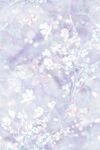 数码印花