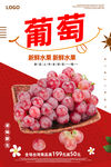 葡萄
