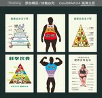 科学饮食 健康运动金字塔