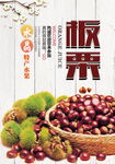 板栗 