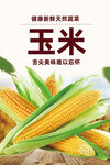 玉米