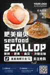 扇贝海报 海鲜批发