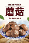 蘑菇