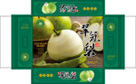 翠冠梨平面展开图