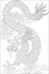 龙