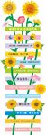 毕业花路斑马线