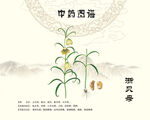 浙贝母