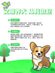 文明养犬