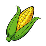 矢量农作物玉米