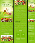 营养师考证培训招生宣传清新长页