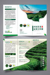 茶叶宣传册三折页