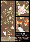 手绘花鸟