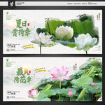 荷花节