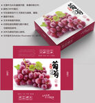 葡萄包装 水果盒子