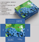葡萄包装 水果盒子