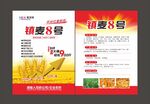 小麦单页