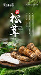 松茸