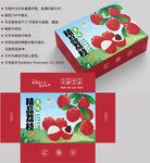荔枝包装 水果盒子
