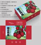 杨梅包装 水果盒子