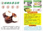 马蹄宣传单贴纸海报