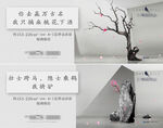 新中式提案