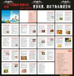 合理膳食手册