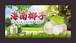 椰子海报