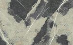 大理石石纹