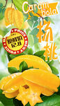 杨桃 水果海报