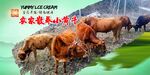黄牛广告