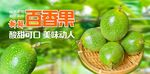 黄金百香果