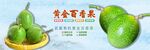黄金百香果
