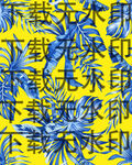 大牌热带植物  