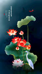 国画荷花
