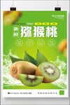 弥猴桃 海报奇异果