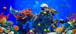 水族馆海底世界