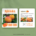 歇马杏保存方法卡片