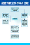 抗菌药物监测与评价流程