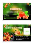 柑橘销售平台 