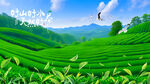 茶山