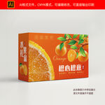 橙子包装礼盒