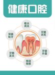 健康口腔