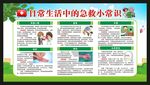 世界急救日宣传栏