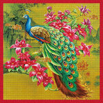方巾定位孔雀