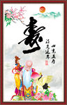 老寿星