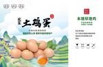 鸡蛋包装