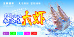 虾