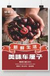 荔枝海报