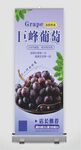 葡萄海报