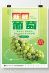 葡萄海报